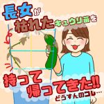 長女が枯れたキュウリ苗を持って帰ってきた！