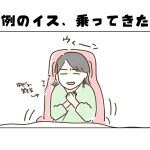 【日常】例のイス、乗ってきた